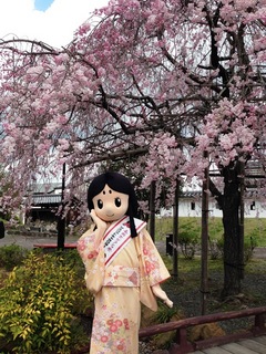 お玉と桜2.jpg