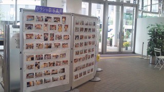 NEC_0487.jpg